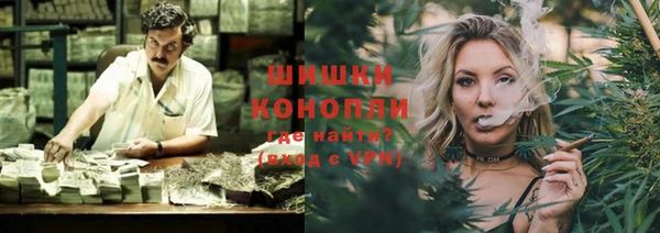 spice Гусиноозёрск