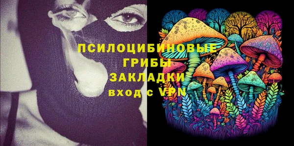 spice Гусиноозёрск
