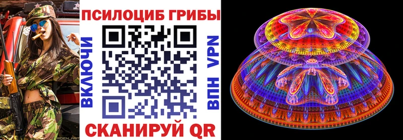 Купить  Новоузенск  Галлюциногенные грибы Psilocybine cubensis 